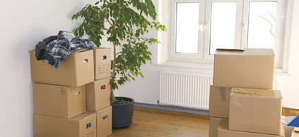 Frühjahrsaktion